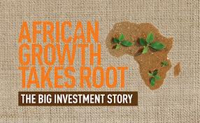 2017 - Year for Africa’s youth
Time to start prioritising Africa’s assets – future leaders