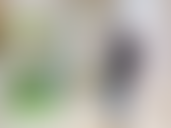 Green ConsulTech a pris part à l’Assemblée Générale Ordinaire de la Pan African Forest Certification (PAFC Gabon)