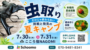 夏だ！ガチ虫取り！自由研究も！