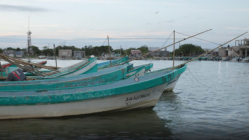 Celestun Fishing Boats