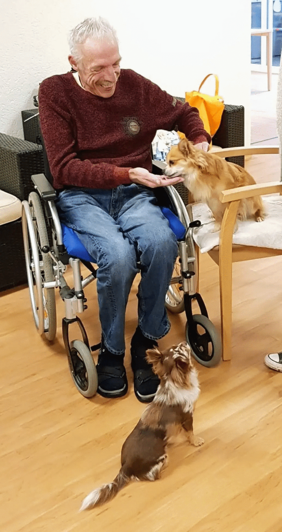 322025016_1503705596778063_6730566747897532968_n (1).gif