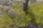 0S5A2702.JPG