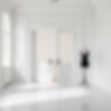 White walls and beautiful floors with french doors and a mannequin on the right side.jpg