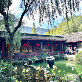 đồi chè long tỉnh