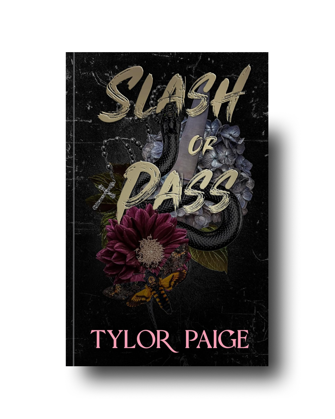 Slash or Pass (Paperback)