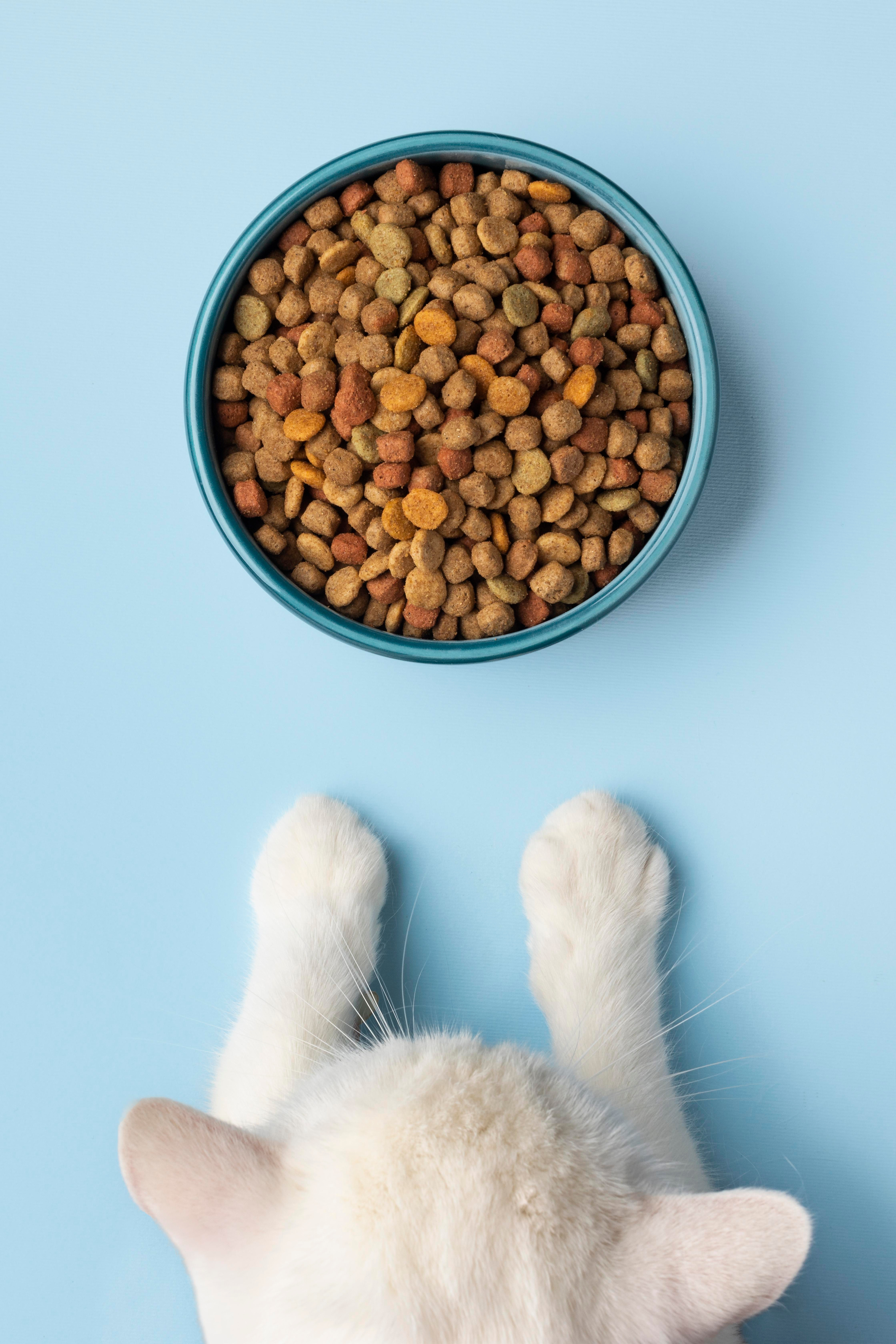 Cat Food