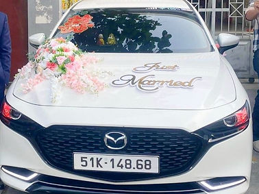 mazda3-hoahong_edited.jpg