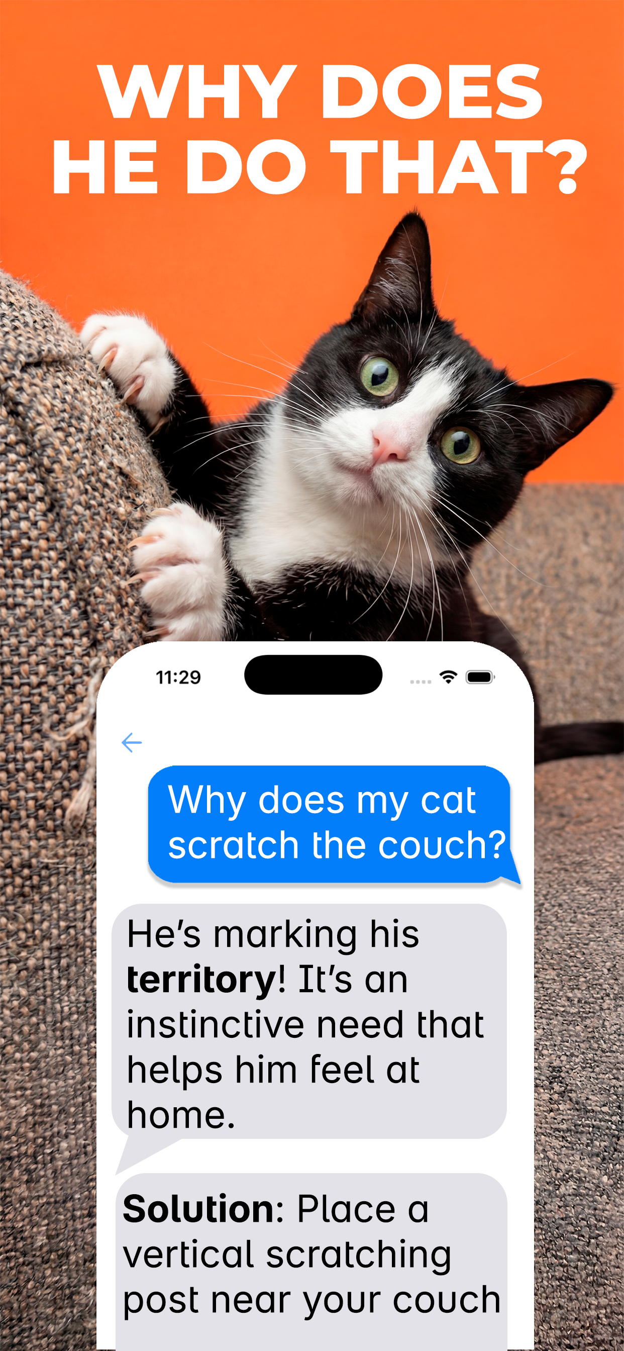 CatSense EN LP APPLE 1242x2688 Page 2 Chat Sofa.png