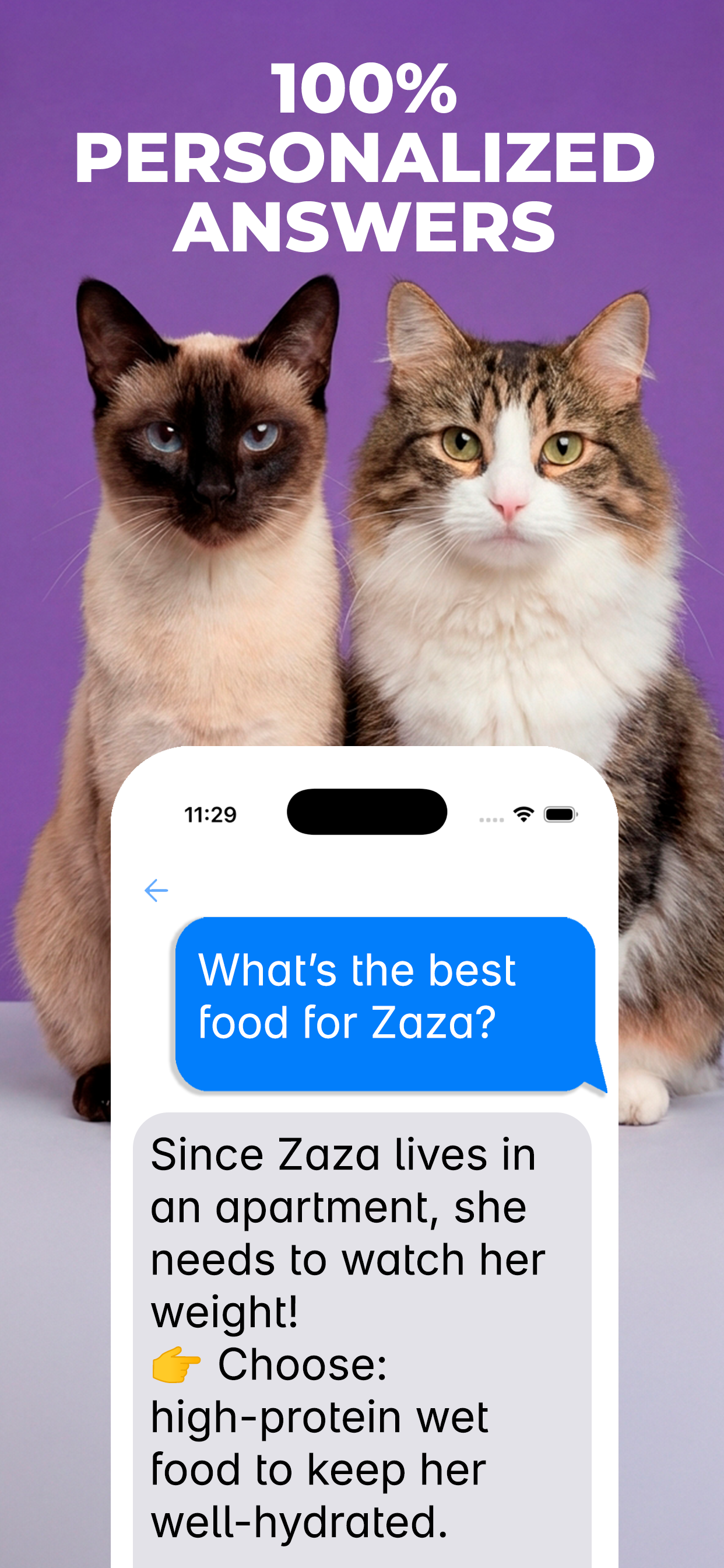 CatSense EN LP APPLE 1242x2688 Page 4 Chat 2 races.png