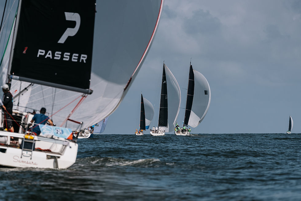 2025-07-27 11-33-57 author Domas Rimeika.jpg