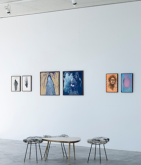 NishiGallery_Famiglia