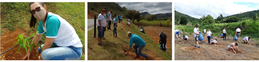 Plantação de àrvores projeto ecco