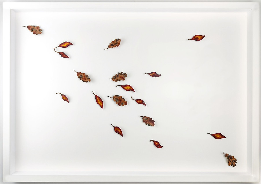 windy season final light.jpg