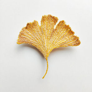 Leaves Collection