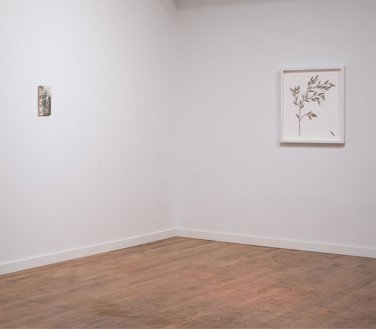 Anita Rogers Gallery, Itamar Yehiel