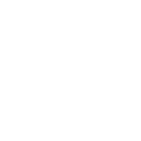 visa_1_white.png