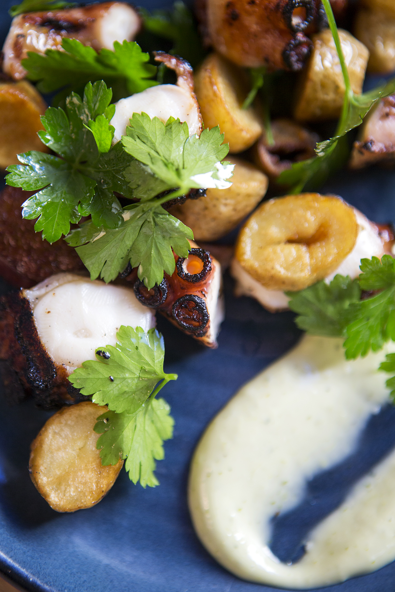 Signature South American dish freshly plated by the Public House Perth kitchen