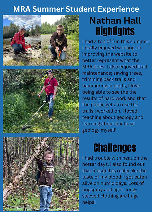 MRA Summer Student Experience (1).jpg