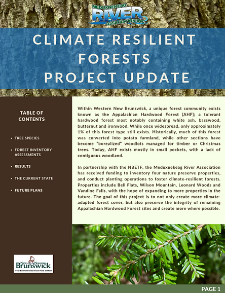 Screenshot 2026-02-09 135116.png