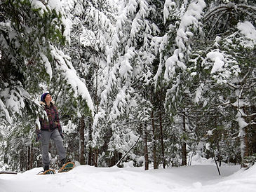 snowshoe pic.jpg