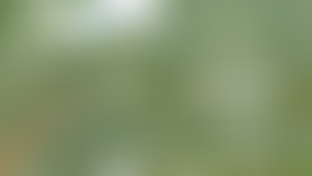 Bosque das Mangueiras e Parque da Cidade abrem no feriado Mártires