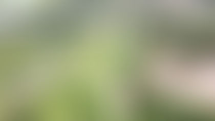 Prefeitura de Natal reforça exigências para imóveis localizados em Zonas de Proteção Ambiental