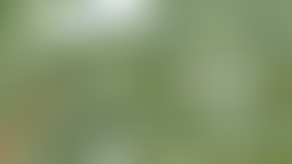 Confira funcionamento do Parque da Cidade e Bosque das Mangueiras no feriado dos Mártires