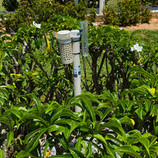 Natal amplia rede de monitoramento climático com instalação de novos equipamentos