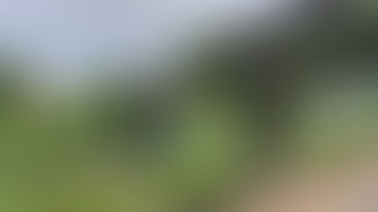 Semurb intensifica combate a terrenos e imóveis em descaso ambiental em Natal
