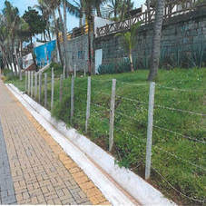 Semurb emite notificações às ocupações irregulares em áreas públicas na orla de Ponta Negra
