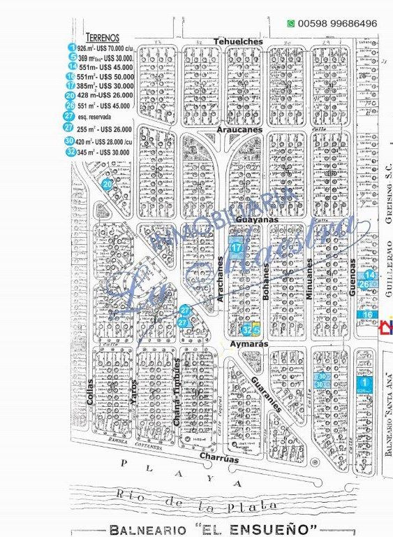 El Ensueño Noviembre 2025.jpg