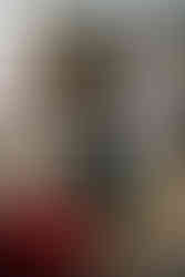 trolly on the streets