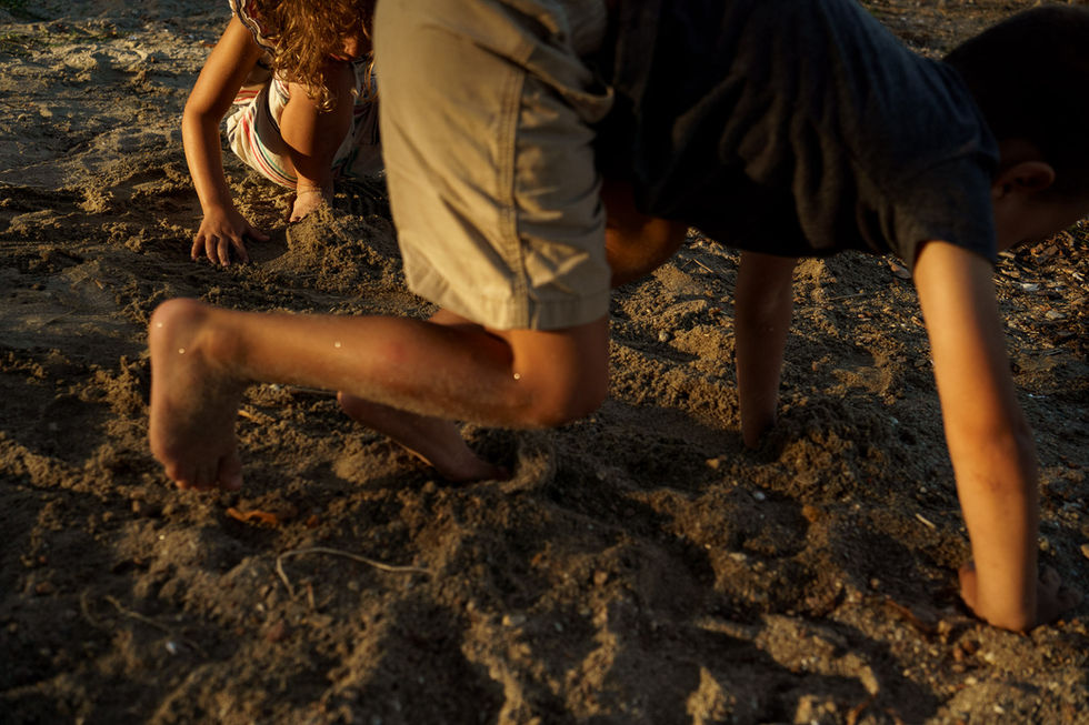 limbs on a beach
