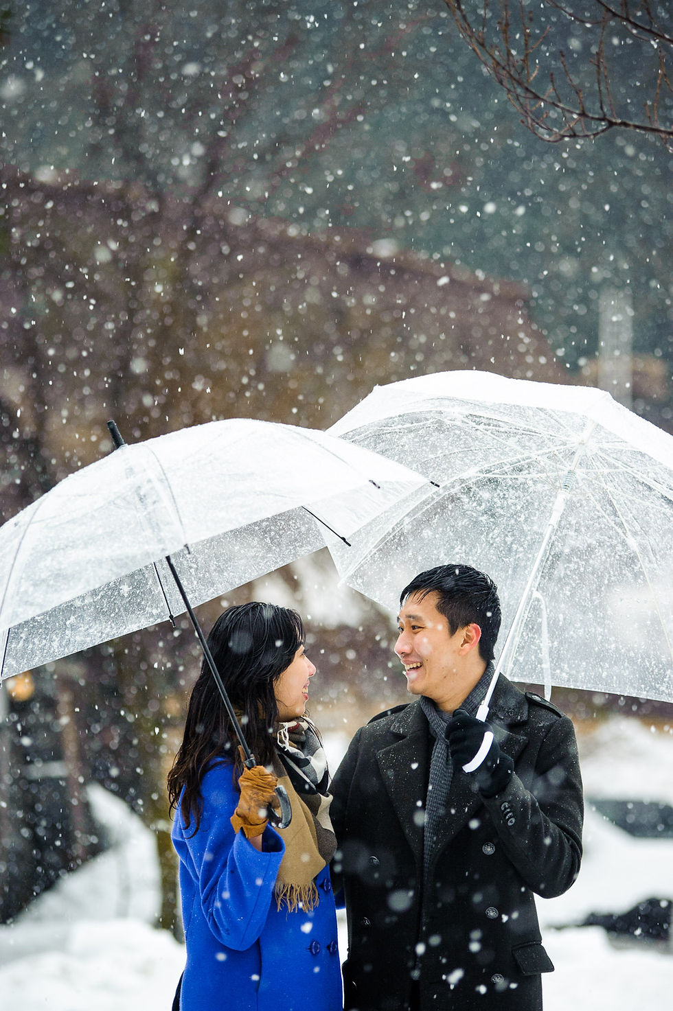 The couple stands together in the snow under umbrellas