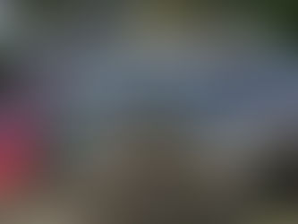  Update on Kingsbridge site!