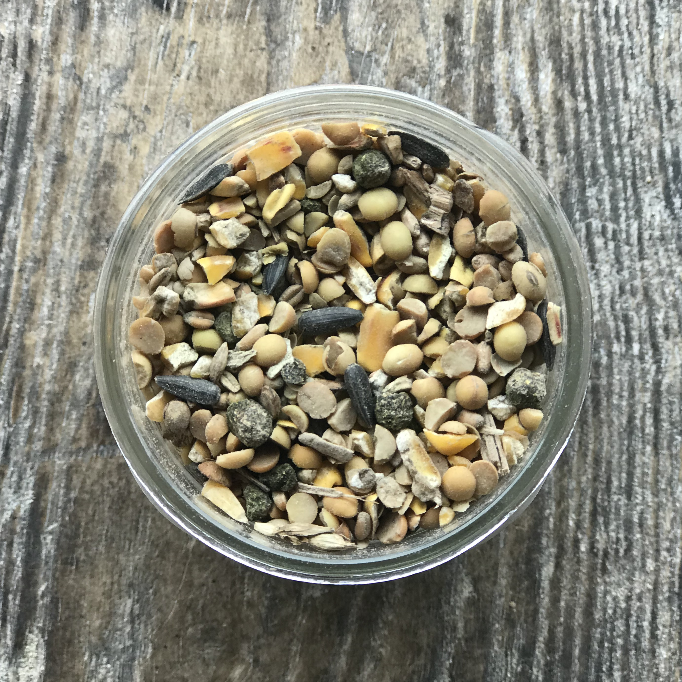 Non-GMO Turkey & Game Bird Grower 24%