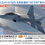 Thumbnail: 1/48 Ace Combat 7 Skies Unknown F-22 Raptor Moebius 1 (IUN spec)