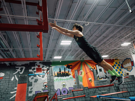 Lyme Ninja-Never Give Up