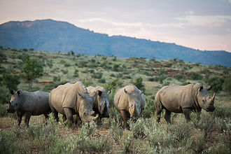 Robin Hurt Safaris, Gamsberg Ranch, Nami