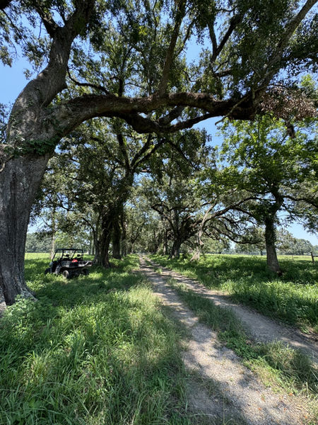 Church - Couteau Farms Easement Photo 1 (Web).jpg