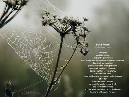 Love Poem (Poetry)