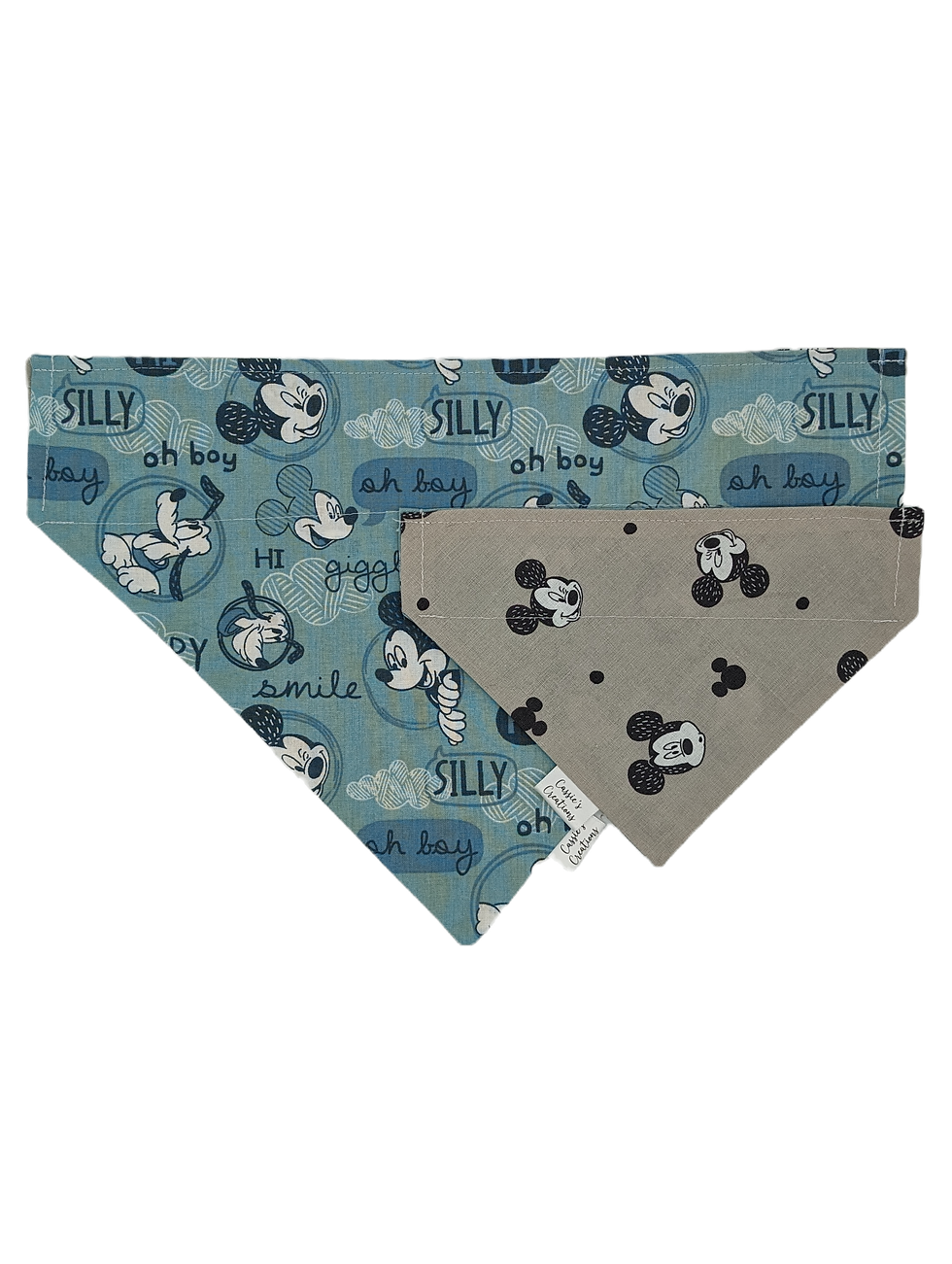 Mickey, A Dogs Best Friend