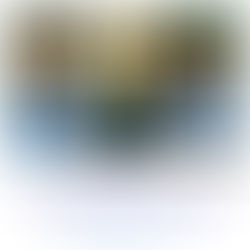 TN's Rakshitha Sree, Srinidhi & Arulmurugan are in the Indian Team for German & Dutch Jr. Intl. 2023