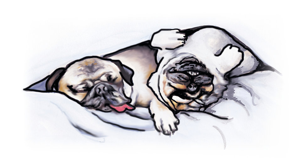 Sleeping lates.jpeg