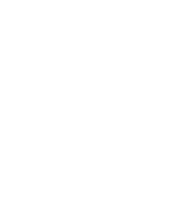 north-star.gif
