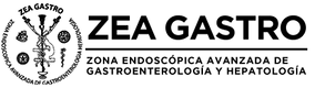 Logo Zea Gastro