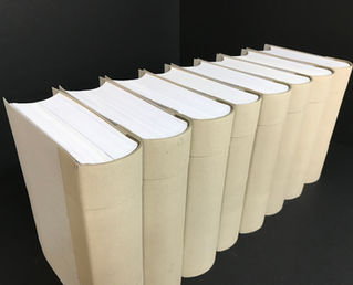 Archivbände in der Rohfassung
