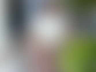 Back to School in Style: Must-Have Staples & Accessories for Students and Teachers from The Curvy Corner Boutique