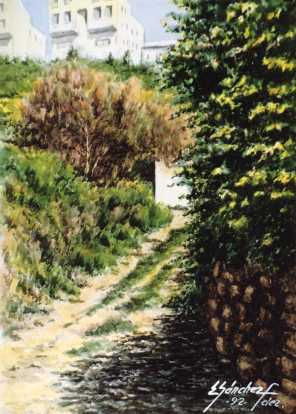 Camino Final Calle Valencia