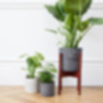 concrete plant pots in light and dark greys